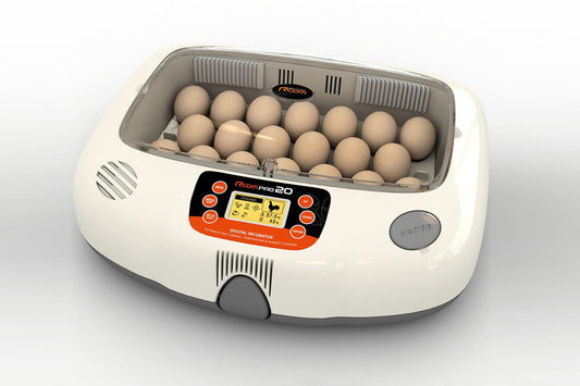 R-Com 20 pro parrot and parakeet incubator